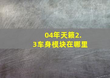 04年天籁2.3车身模块在哪里