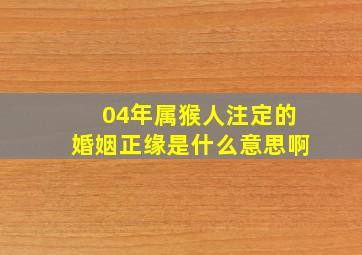 04年属猴人注定的婚姻正缘是什么意思啊