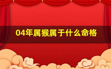 04年属猴属于什么命格