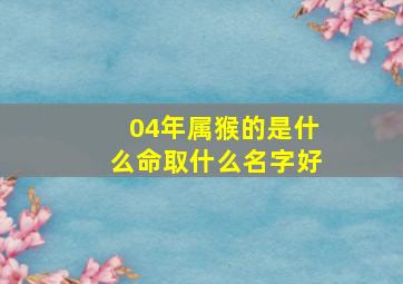 04年属猴的是什么命取什么名字好