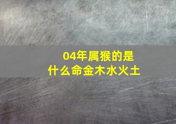 04年属猴的是什么命金木水火土