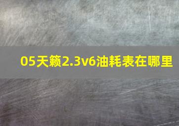 05天籁2.3v6油耗表在哪里