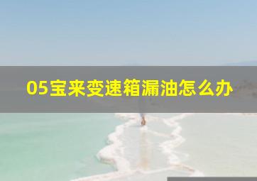 05宝来变速箱漏油怎么办