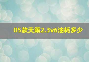 05款天籁2.3v6油耗多少