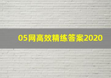 05网高效精练答案2020