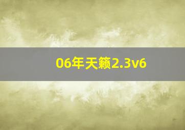 06年天籁2.3v6