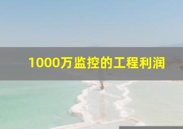 1000万监控的工程利润