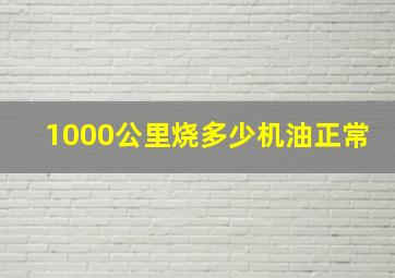 1000公里烧多少机油正常