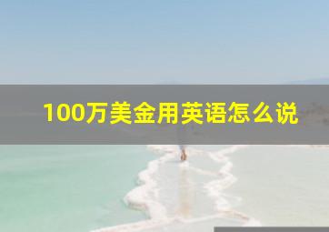 100万美金用英语怎么说