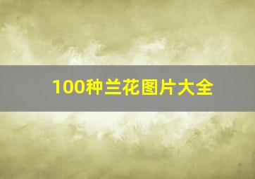 100种兰花图片大全