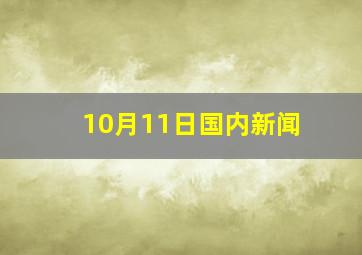 10月11日国内新闻