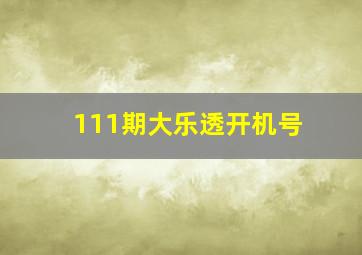 111期大乐透开机号