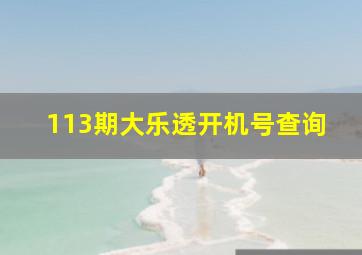 113期大乐透开机号查询