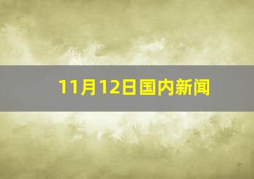 11月12日国内新闻