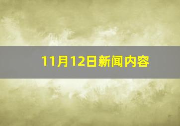 11月12日新闻内容