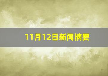 11月12日新闻摘要