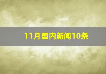 11月国内新闻10条