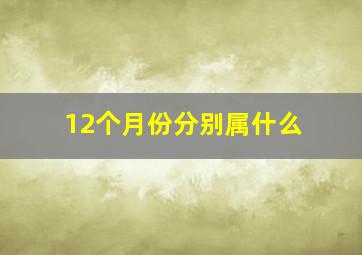 12个月份分别属什么