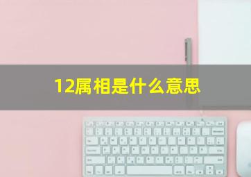 12属相是什么意思