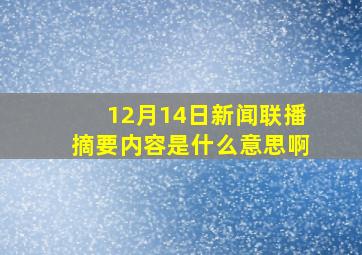 12月14日新闻联播摘要内容是什么意思啊