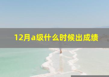 12月a级什么时候出成绩