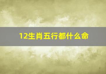 12生肖五行都什么命