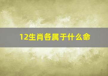 12生肖各属于什么命