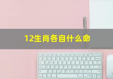 12生肖各自什么命