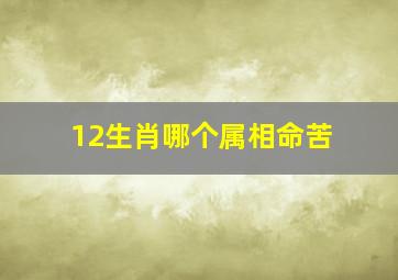 12生肖哪个属相命苦