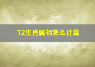 12生肖属相怎么计算