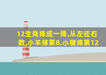 12生肖排成一排,从左往右数,小羊排第8,小猪排第12