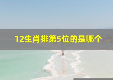 12生肖排第5位的是哪个