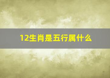 12生肖是五行属什么