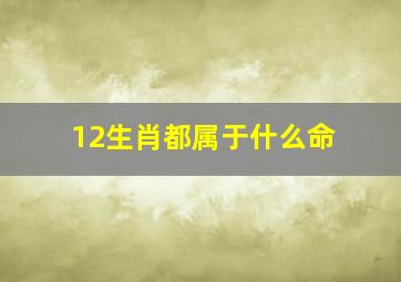 12生肖都属于什么命