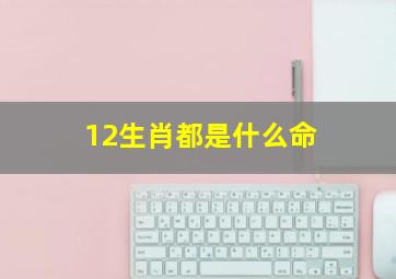 12生肖都是什么命