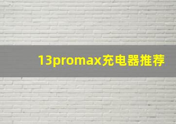 13promax充电器推荐