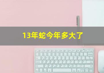 13年蛇今年多大了