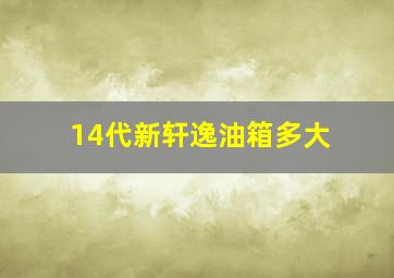 14代新轩逸油箱多大