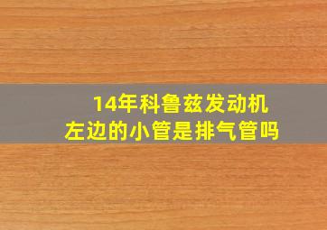 14年科鲁兹发动机左边的小管是排气管吗