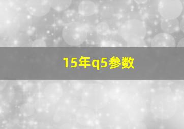 15年q5参数