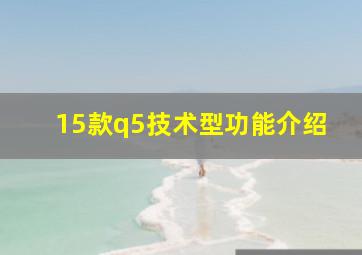 15款q5技术型功能介绍