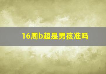 16周b超是男孩准吗