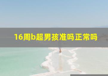 16周b超男孩准吗正常吗