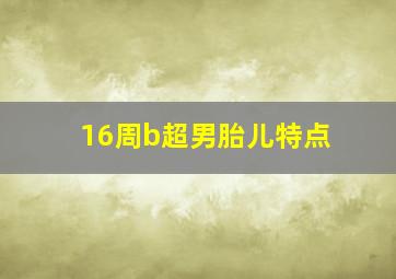 16周b超男胎儿特点