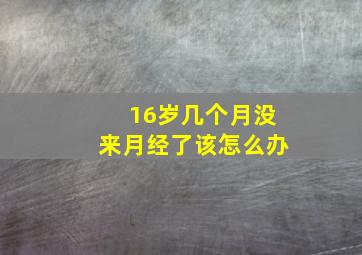 16岁几个月没来月经了该怎么办