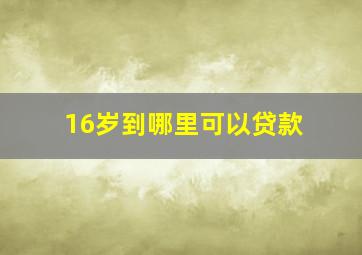 16岁到哪里可以贷款