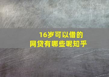 16岁可以借的网贷有哪些呢知乎