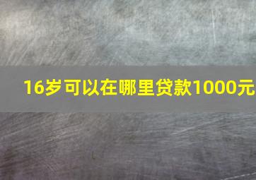 16岁可以在哪里贷款1000元