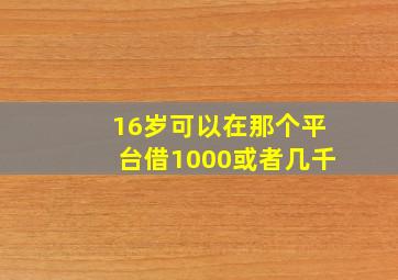 16岁可以在那个平台借1000或者几千