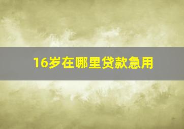 16岁在哪里贷款急用